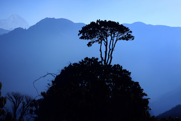 Mountain landscape - the Himalayas, sunrise, Nepal - 143155496