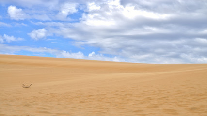 White Sand Dunes in Mui Ne, Phan Thiet, Vietnam. Popular tourist attraction