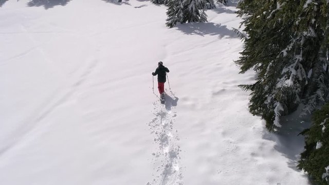Drone Shot of Snowshoeing Deep in Forest Mountain Backcountry with Fresh Powder Snow