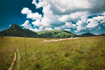 Tatran National Park