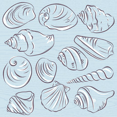 Set of different types of clams and shells on a blue  grunge background, vector illustration.