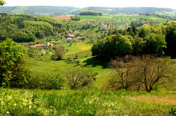 Fr&uuml;hling und Baumbl&uuml;te im Odenwald