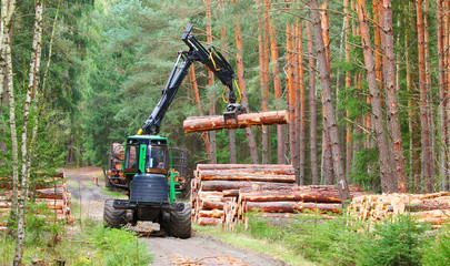 The harvester working in a forest. Harvest of timber. Firewood as a renewable energy source....