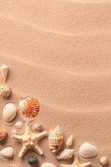Fototapeta na wymiar Summer beach vacation or holiday background with sand seashells and starfish.
