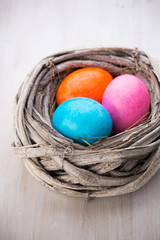 Easter eggs in the nest. Spring discount card.