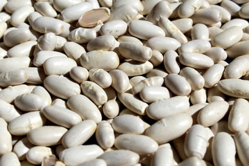 Navy beans