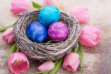 Easter eggs in the nest. Spring flowers tulips.
