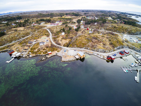 Vegetation on the coast of Norway. Tourist Bay, Early Spring