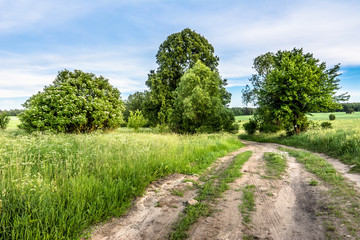 Fototapeta na wymiar Rural road through green field in the summer, landscape