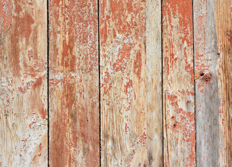 Vintage wood background texture with knots.