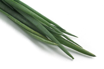 Fresh Spring Onions