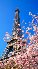 Fototapeta premium Eiffel Tower in spring time, Paris, France