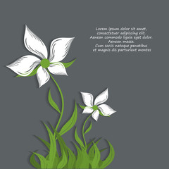 Vector  floral background. Hand drawn elements for design. Floral summer illustration. Pattern for design, brochures. Eps10