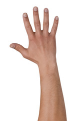 five, hand, finger, arm, rock, two, зфдь