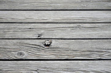 Holz