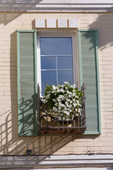 White flowers on the window in a classic style. Architecture