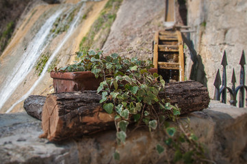 Ivy vase and mill wheel with tilt shift effect