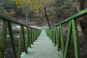 Wooden bridge to the forest