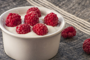 Plain Greek Yogurt with Raspberries