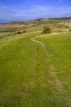 chiltern hills ridgeway path buckinghamshire england uk