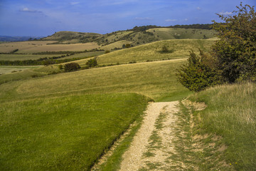 chiltern hills ridgeway path buckinghamshire england uk