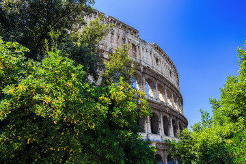 View of Colosseum in Rome, Italy. History famous landmark of Italy