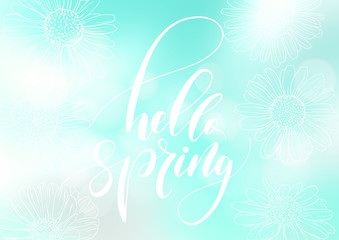 Fototapeta na wymiar Phrase Hello Spring. Brush pen lettering. Vector Illustration