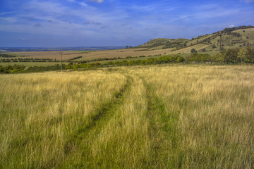 chiltern hills ridgeway path buckinghamshire england uk