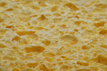Natural sponge texture. Suitable to be used like a background.