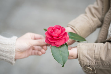 赤い花を手渡す親子の手