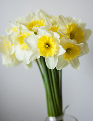 Yellow flowers in a vase