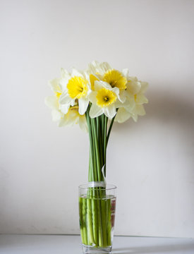 Charming daffodils in a glass