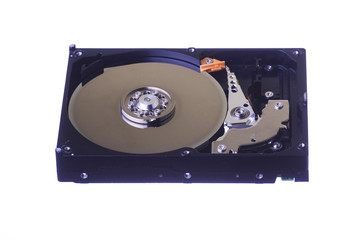 Internal view of computer hard disk isolated on white background.