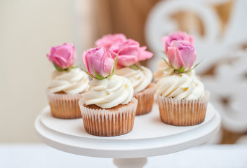 A few chocolate cupcakes