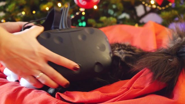 Maine Coon cat wears a virtual reality glasses sits on the pillow at a beautiful new year decorated tree. 3840x2160