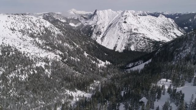 Helicopter View of Sunny Forest Valley with Snow Covered Cascade Mountain Range Peaks