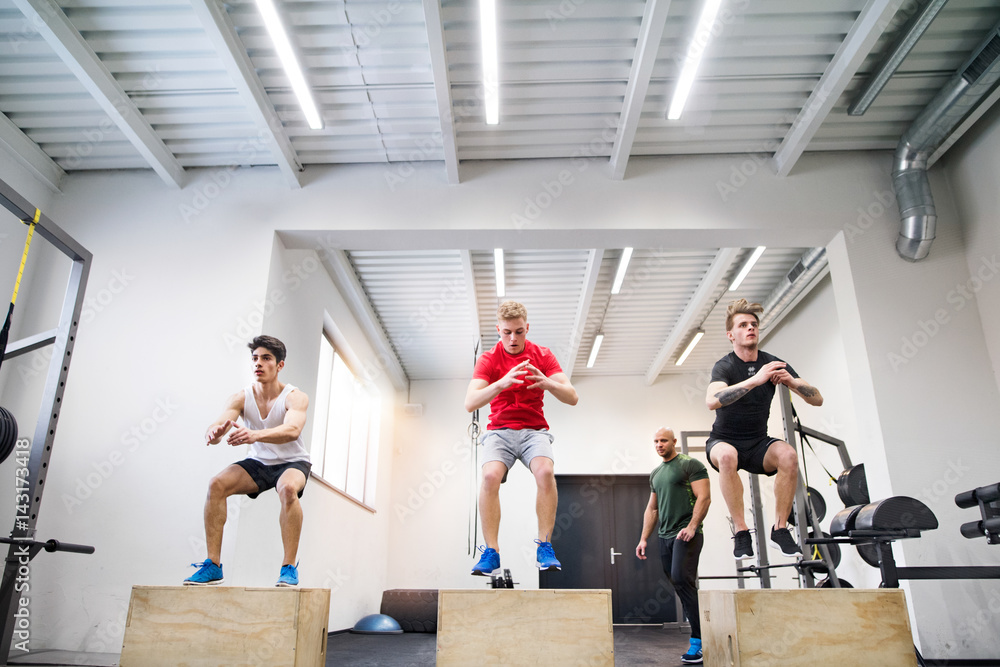 Sticker Men in gym with trainer exercising on fit boxes.