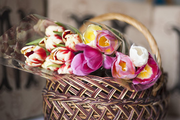 Sweet tulips lies in basket
