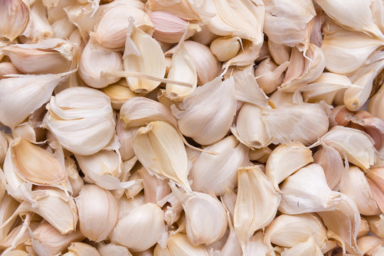 garlic