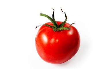 Red tomato on white background..