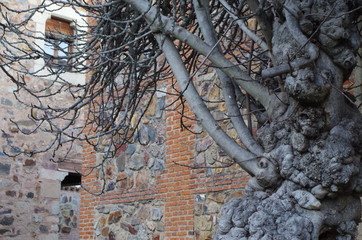 Vagueza