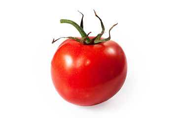 Red tomato on white background..