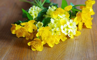 Gelbe Sumpfdotterblumen und Schlüsselblumen auf Holz