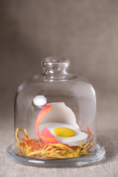 Oeuf de P&acirc;ques... Oooops !