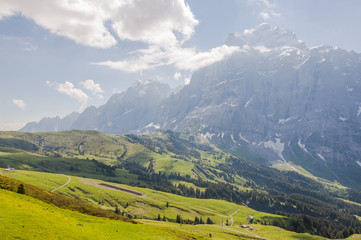 Grindelwald, Wetterhorn, Engelhörner, Alpen, Berner Oberland, Grosse Scheidegg, Wanderweg, Schweizer Berge, Rosenlaui, Sommer, Schweiz