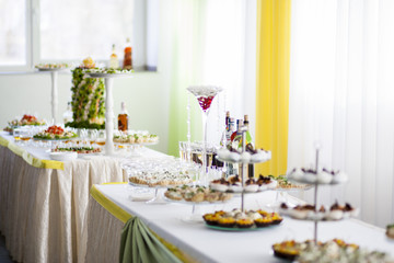 Delicious snacks on buffet table