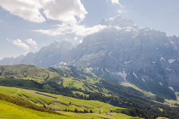 Fototapeta premium Grindelwald, Berner Oberland, Wetterhorn, Engelhörner, Grosse Scheidegg, Wanderweg, Alpen, Schweizer Berge, Rosenlaui, Sommer, Schweiz