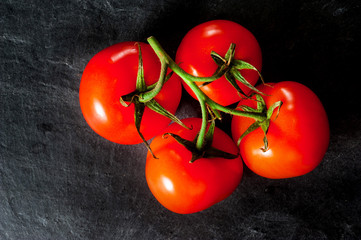 Branch of tomatoes on dark background..