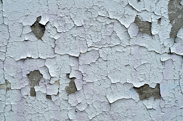 Wall with a white cracked paint - obrazy, fototapety, plakaty