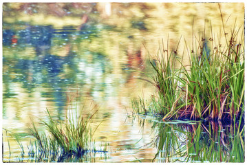 Abstract Watercolour effect of Grasses in lake showing reflections